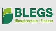 logo firmy